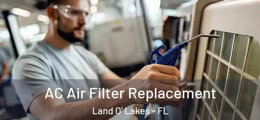 AC Air Filter Replacement Land O' Lakes - FL