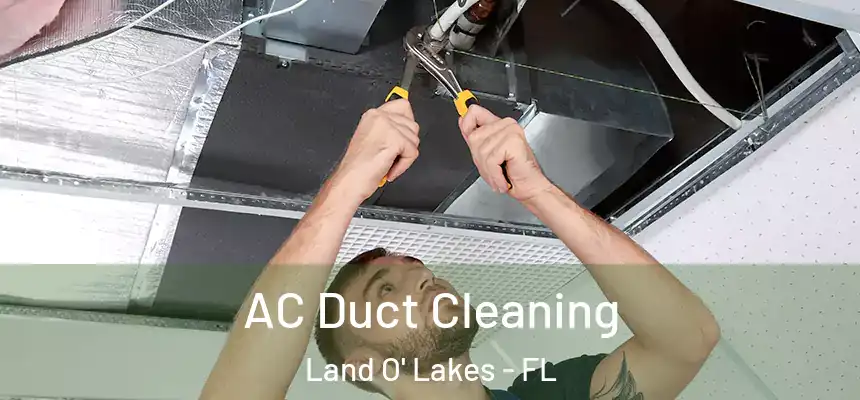 AC Duct Cleaning Land O' Lakes - FL