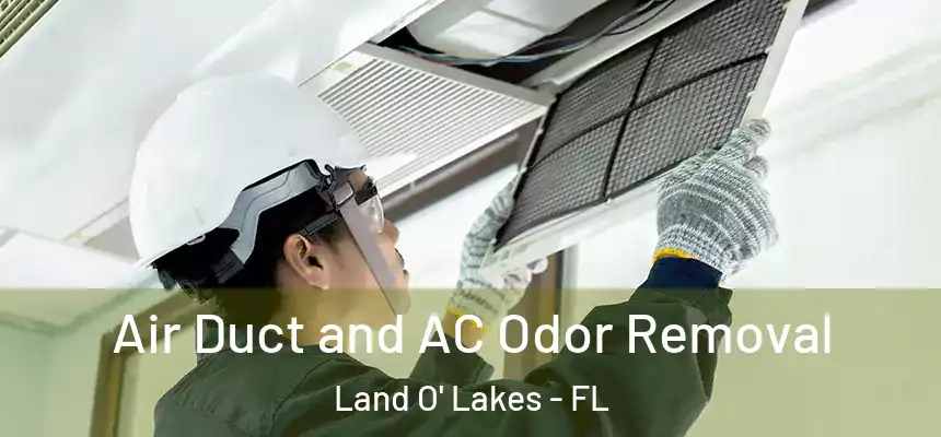 Air Duct and AC Odor Removal Land O' Lakes - FL