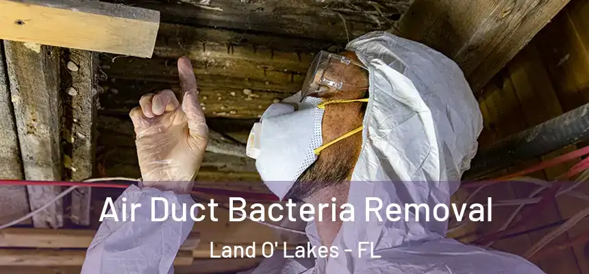 Air Duct Bacteria Removal Land O' Lakes - FL