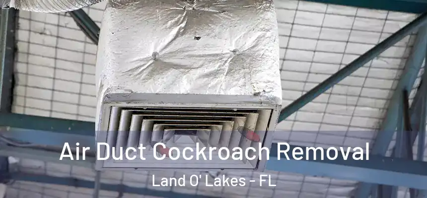 Air Duct Cockroach Removal Land O' Lakes - FL