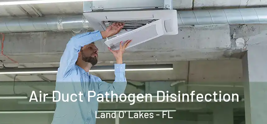 Air Duct Pathogen Disinfection Land O' Lakes - FL