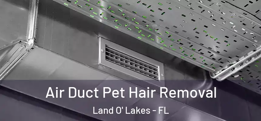 Air Duct Pet Hair Removal Land O' Lakes - FL