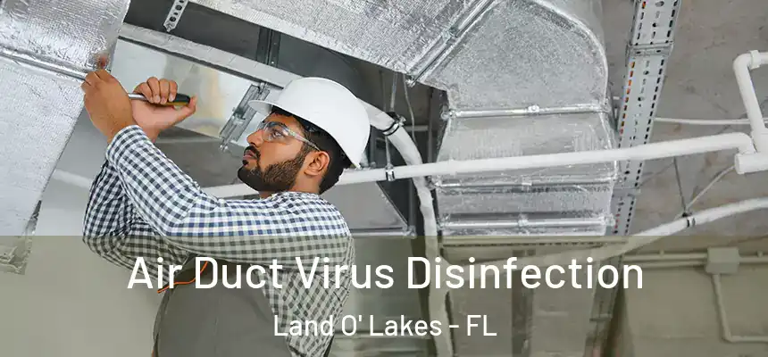 Air Duct Virus Disinfection Land O' Lakes - FL