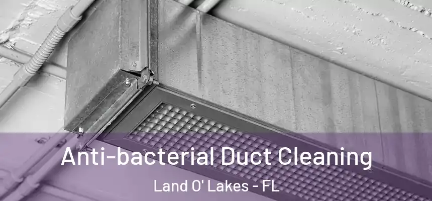 Anti-bacterial Duct Cleaning Land O' Lakes - FL