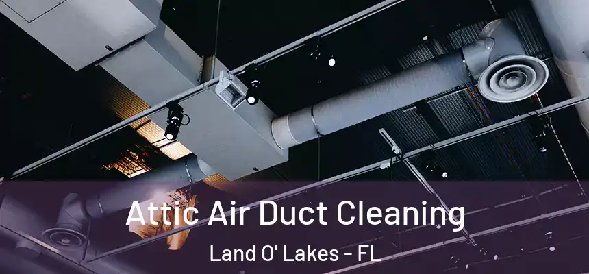 Attic Air Duct Cleaning Land O' Lakes - FL