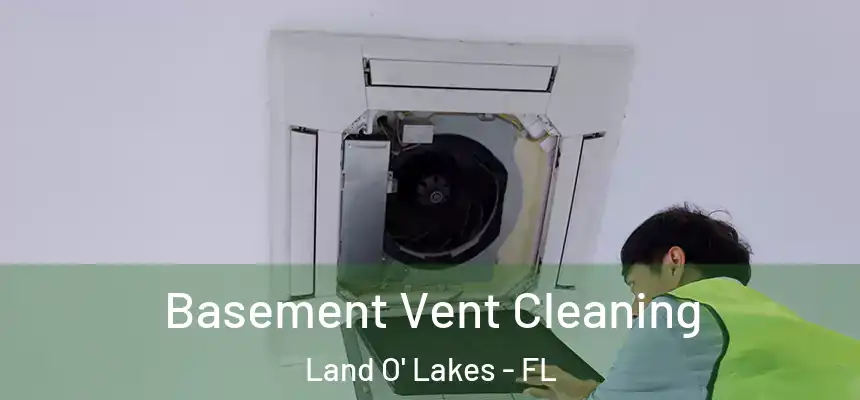 Basement Vent Cleaning Land O' Lakes - FL