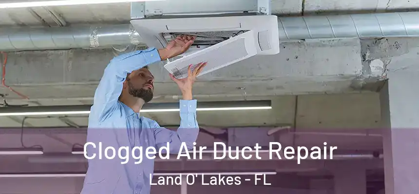 Clogged Air Duct Repair Land O' Lakes - FL
