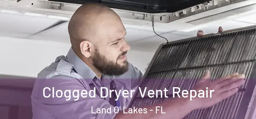 Clogged Dryer Vent Repair Land O' Lakes - FL