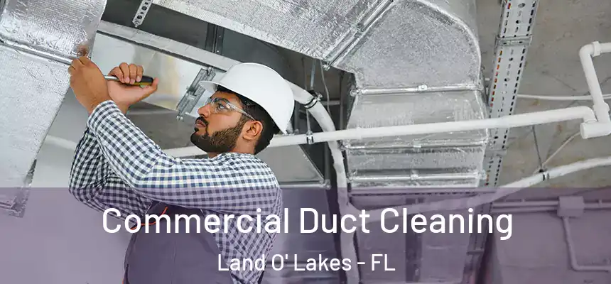 Commercial Duct Cleaning Land O' Lakes - FL