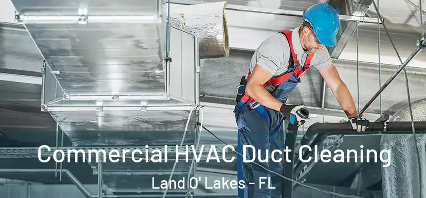 Commercial HVAC Duct Cleaning Land O' Lakes - FL