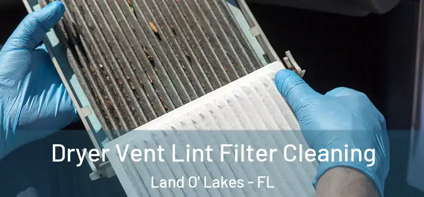 Dryer Vent Lint Filter Cleaning Land O' Lakes - FL