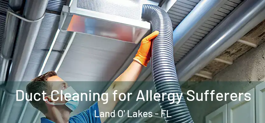 Duct Cleaning for Allergy Sufferers Land O' Lakes - FL