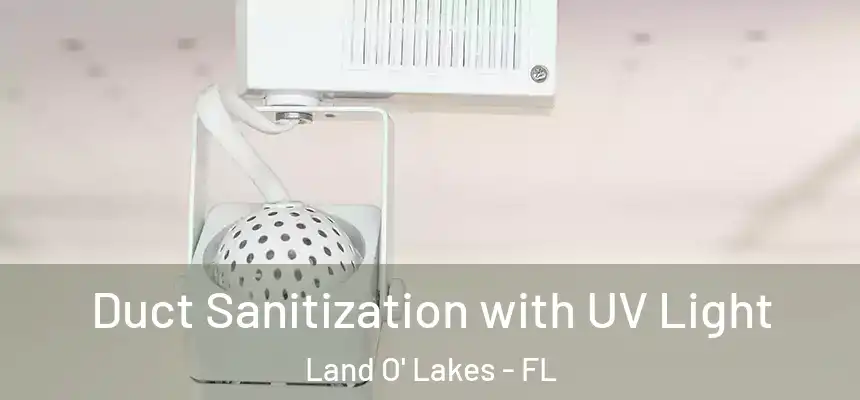 Duct Sanitization with UV Light Land O' Lakes - FL
