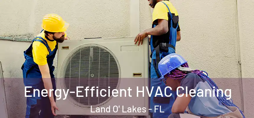 Energy-Efficient HVAC Cleaning Land O' Lakes - FL