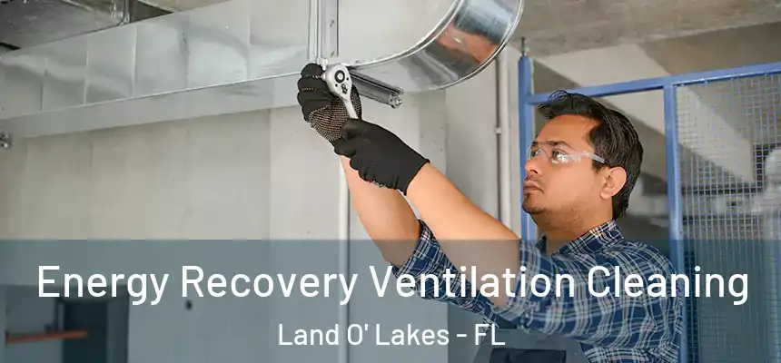 Energy Recovery Ventilation Cleaning Land O' Lakes - FL