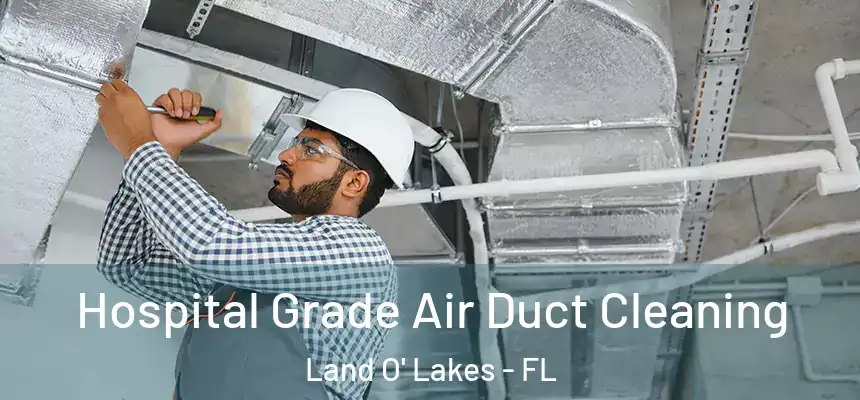 Hospital Grade Air Duct Cleaning Land O' Lakes - FL