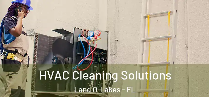 HVAC Cleaning Solutions Land O' Lakes - FL