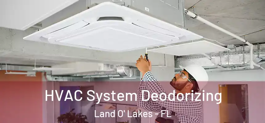 HVAC System Deodorizing Land O' Lakes - FL