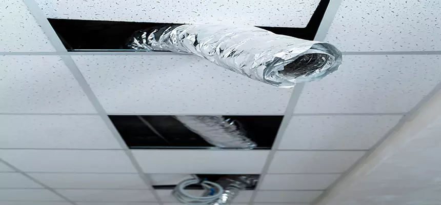 Our Air Duct Pet Hair Removal Services in Land O' Lakes, FL