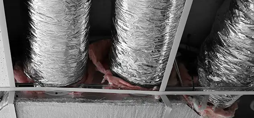 Scalable Commercial Multi‑Unit Dryer Vent Camera Inspection in Land O' Lakes, FL