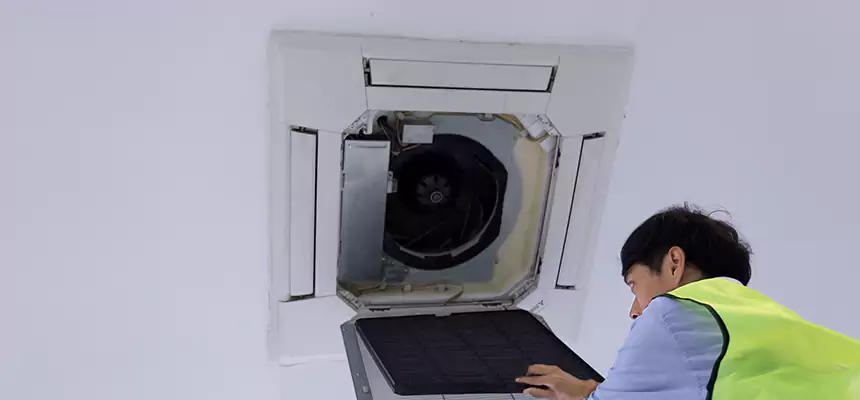 Our Dryer Vent Sanitization Service Services in Land O' Lakes, FL