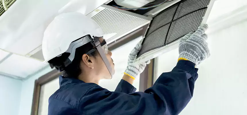 Our Mold & Mildew Removal from Air Ducts Services in Land O' Lakes, FL