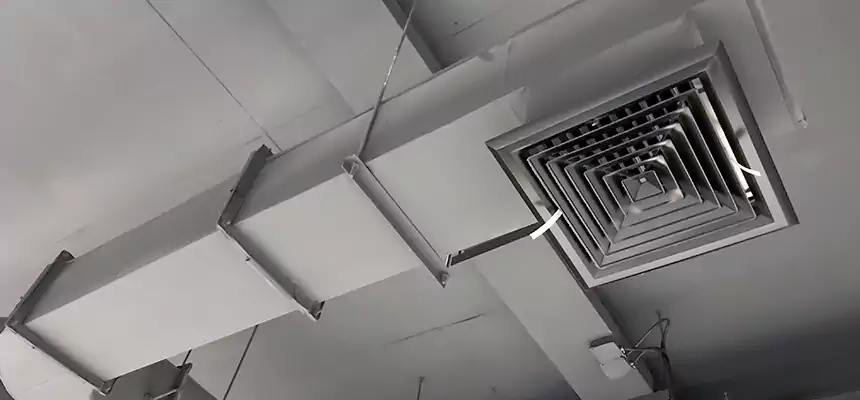 Our Pest Removal From Ducts Services in Land O' Lakes, FL