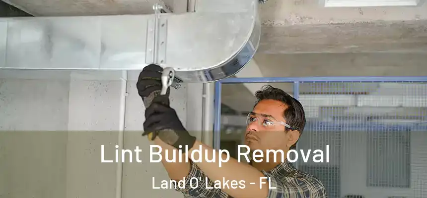 Lint Buildup Removal Land O' Lakes - FL