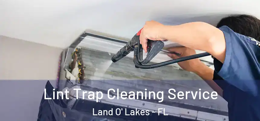 Lint Trap Cleaning Service Land O' Lakes - FL