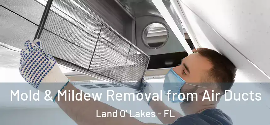 Mold & Mildew Removal from Air Ducts Land O' Lakes - FL