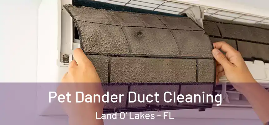 Pet Dander Duct Cleaning Land O' Lakes - FL