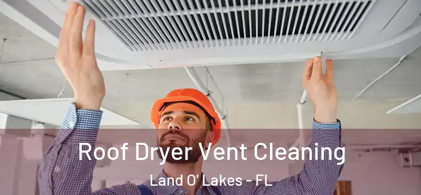 Roof Dryer Vent Cleaning Land O' Lakes - FL