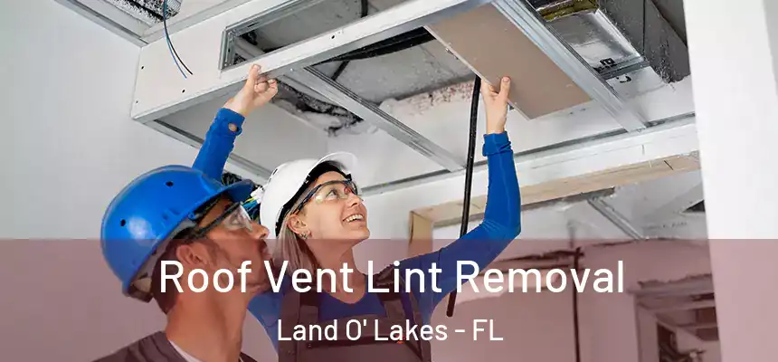 Roof Vent Lint Removal Land O' Lakes - FL