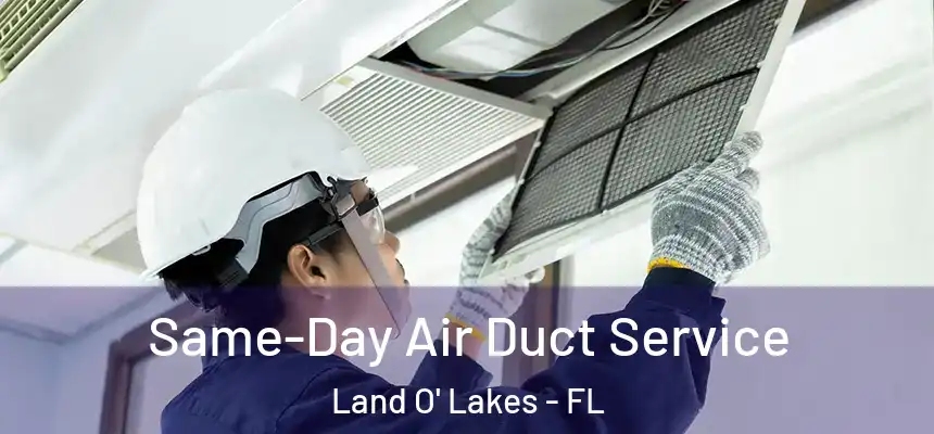Same-Day Air Duct Service Land O' Lakes - FL