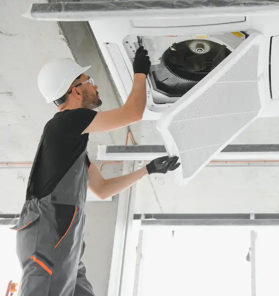 About Air Duct Rodent Removal in Land O' Lakes, FL