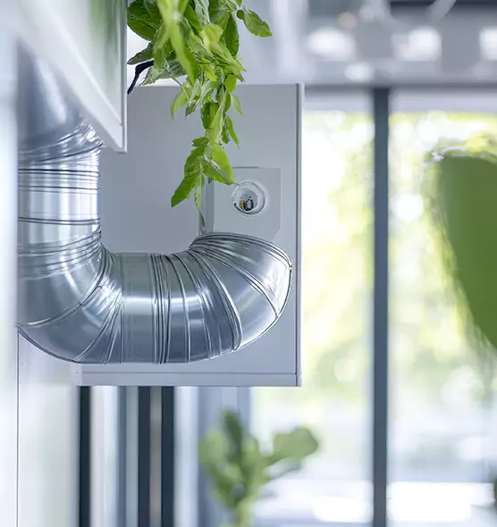 Professional Eco-Safe Dryer Vent Cleaning in Land O' Lakes, FL