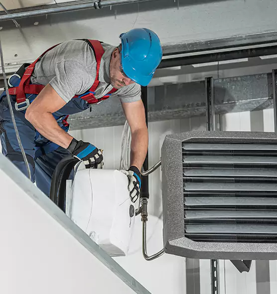 About HVAC Mold Remediation Service in Land O' Lakes, FL