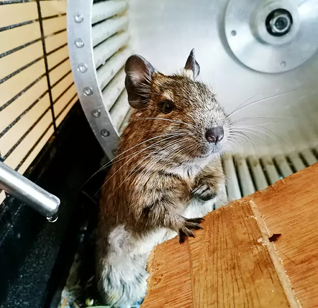 Why Homeowners & Businesses Trust Us Land O' Lakes, FL