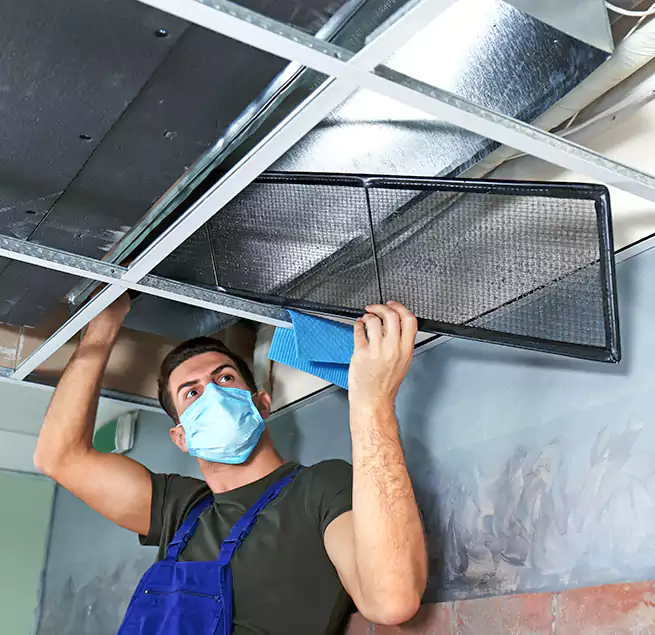 Why Homeowners Businesses Trust Us in Land O' Lakes, FL