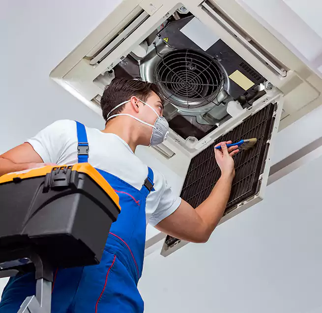 Why Homeowners & Businesses Trust Us in Land O' Lakes, FL