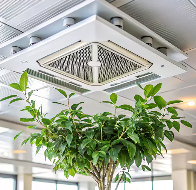 Why Homeowners & Businesses Trust Us in Land O' Lakes, FL?