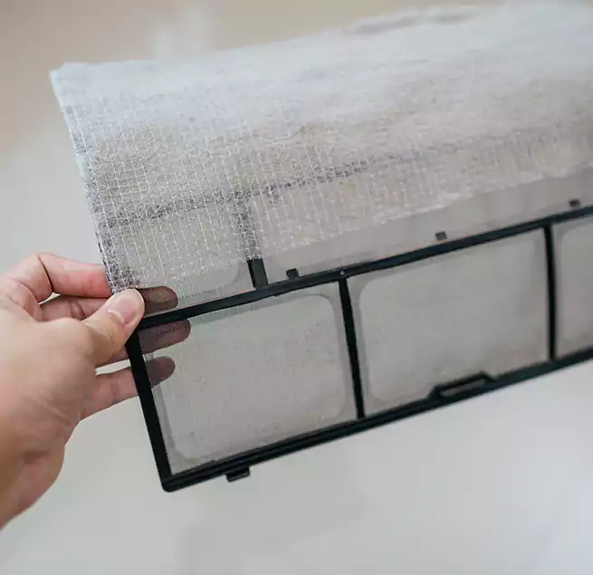 Why Homeowners & Businesses Trust Us in Land O' Lakes, FL?