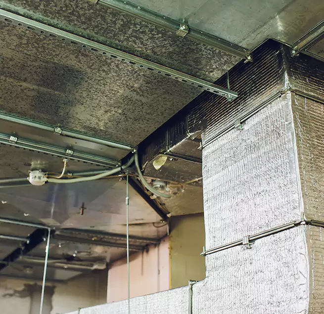 Why Homeowners & Businesses Trust Us in Land O' Lakes, FL?