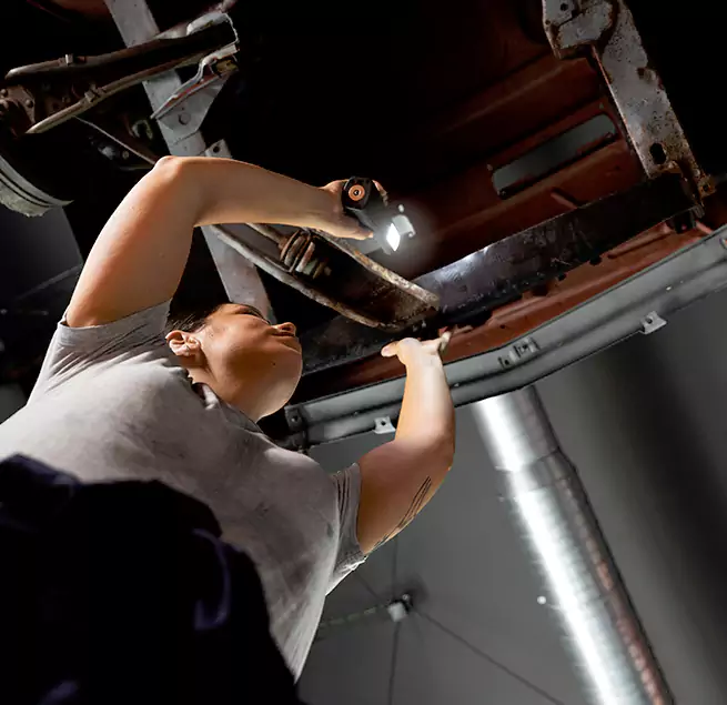 Why Homeowners & Businesses Trust Us Land O' Lakes, FL