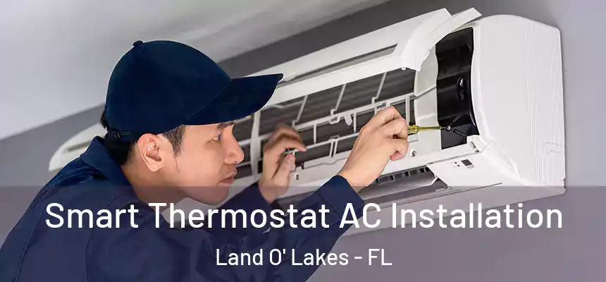Smart Thermostat AC Installation Land O' Lakes - FL