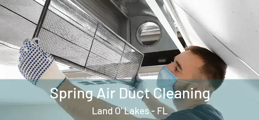 Spring Air Duct Cleaning Land O' Lakes - FL