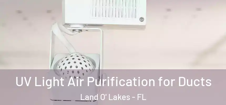 UV Light Air Purification for Ducts Land O' Lakes - FL