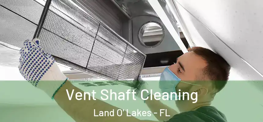 Vent Shaft Cleaning Land O' Lakes - FL